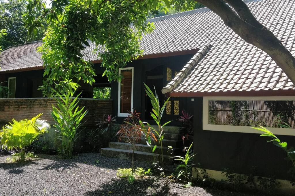 אמד Villa King: Unique Villa With Indoor Swimming Pool מראה חיצוני תמונה