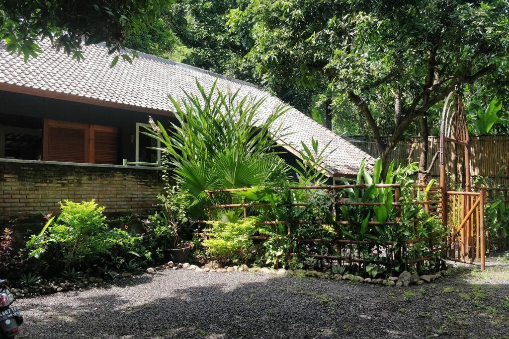 אמד Villa King: Unique Villa With Indoor Swimming Pool מראה חיצוני תמונה