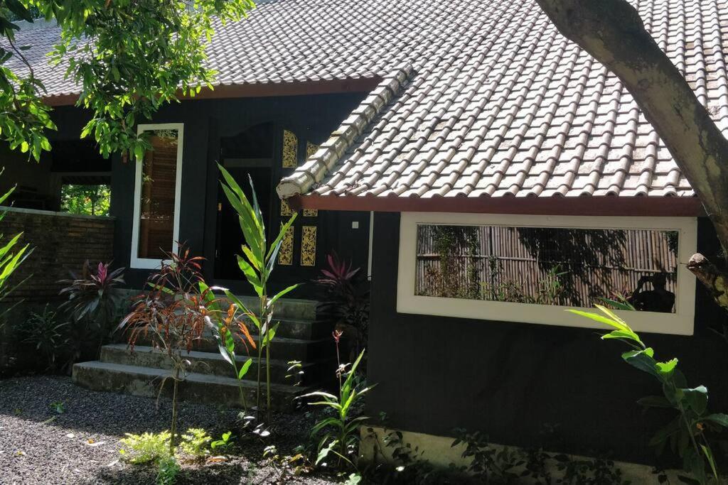 אמד Villa King: Unique Villa With Indoor Swimming Pool מראה חיצוני תמונה